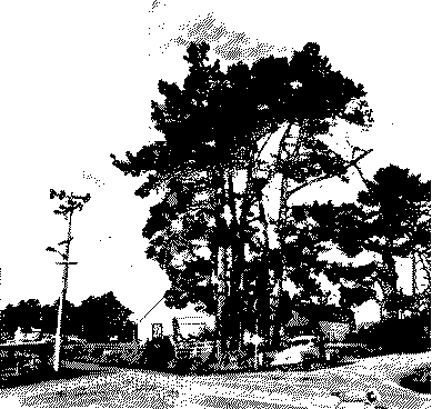 intersection in the country with truck, farmhouse, and trees