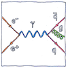 Illustration of Feynman diagram