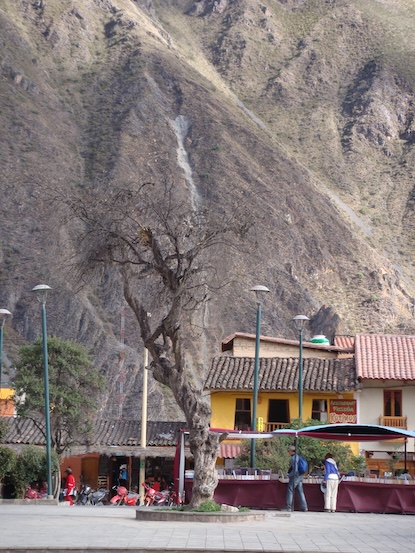 Dead tree in the center of the plaza in Ollantaytambo