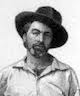 portrait of Walt Whitman