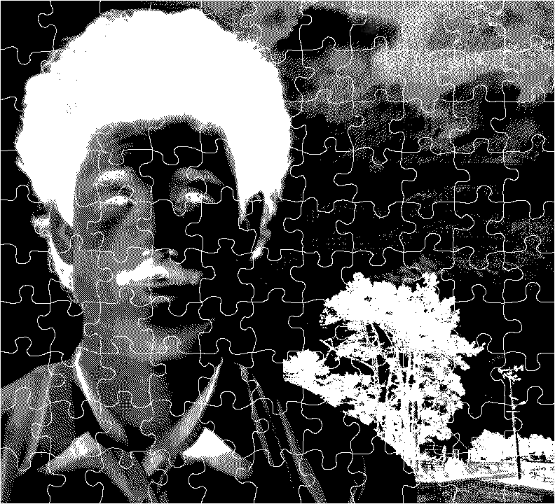 Negative image of Tom Sharp puzzle