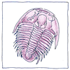 Illustration of Fossils