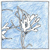Illustration of Cyanotype