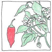 Illustration of Scoville scale