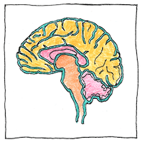 Illustration of Autism