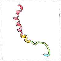 Illustration of Nerve growth