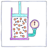 Illustration of Boyle’s law