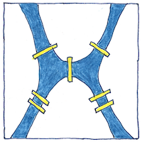 Illustration of Graph theory