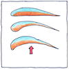 Illustration of Bernoulli’s principle
