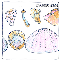 Illustration of Fossil sequences