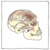 Illustration of Neanderthal man