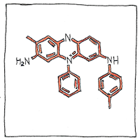 Illustration of Mauve