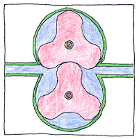 Illustration of Roots blower