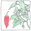 Illustration of Scoville scale