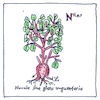 Illustration of Botany