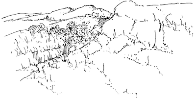 drawing of a hillside