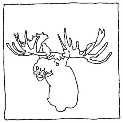 [pen drawing of a taxidermied moose head]
