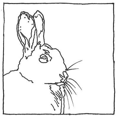 [pen drawing of a rabbit]
