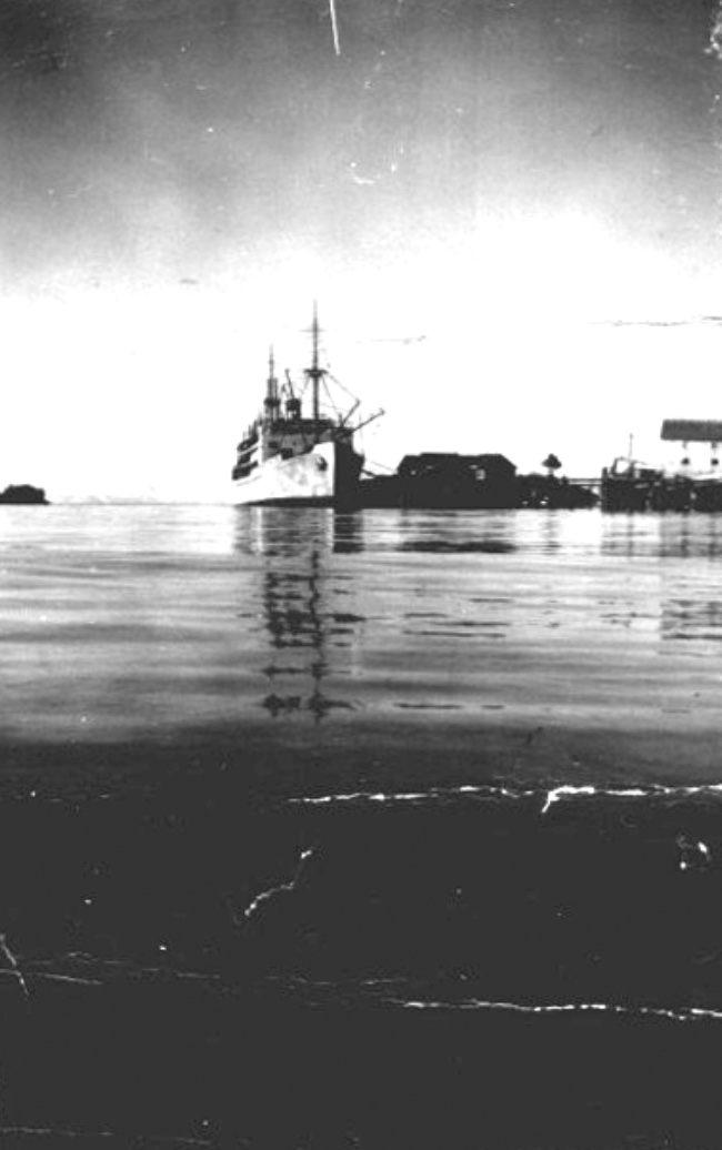 SS Denali, a large steamship at dock