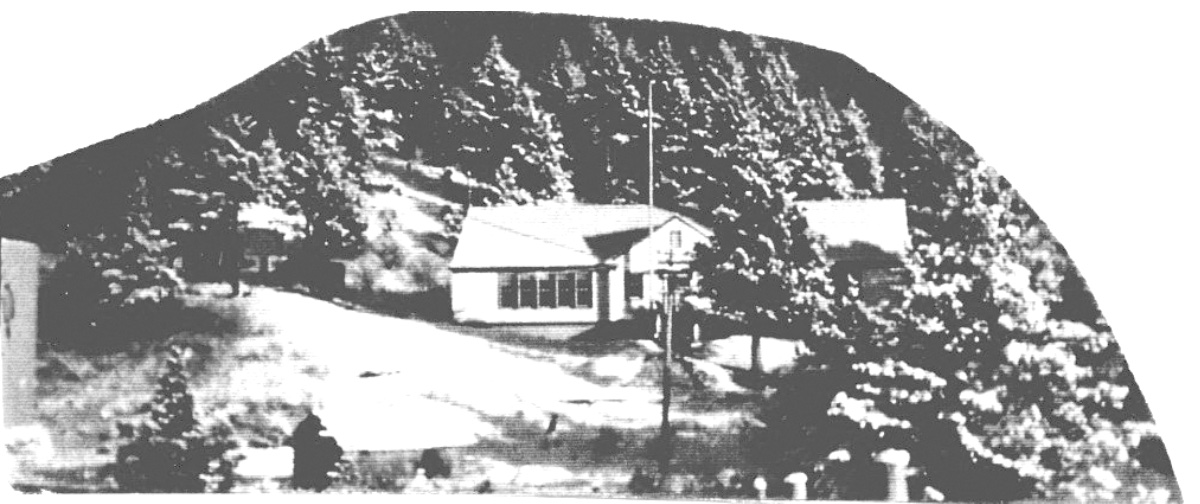 Small building with flagpole, half buried in pine trees