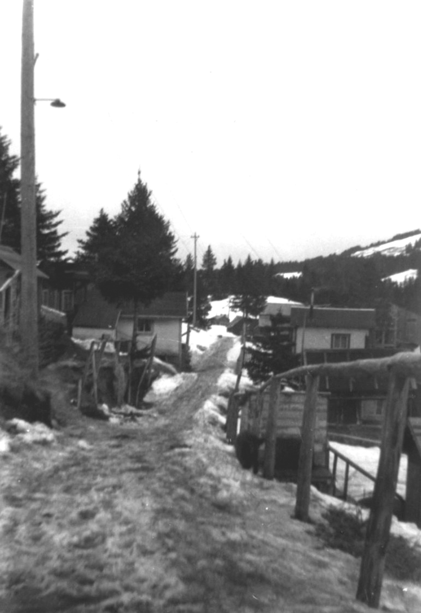 Muddy lane through slushy snow, a wooden rail on the right, small homes and shacks, the hillside with pine trees at the end