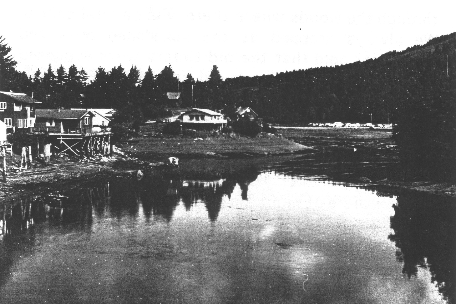 Houses along the water on the left, pines on hillsides above and on the right