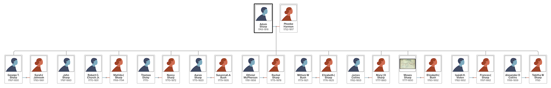 Tree diagram showing the descendants of Adam Sharp and Phoebe Harmon