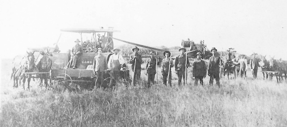 A dozen men and boys with pitchforks, farming machines, horses, and donkeys, in a field
