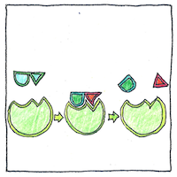 Illustration of Enzyme specificity