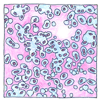 Illustration of Streptococcus pneumoniae