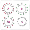 Illustration of Blood groups