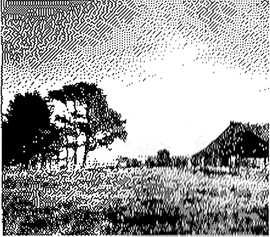 Cow sitting in a field
