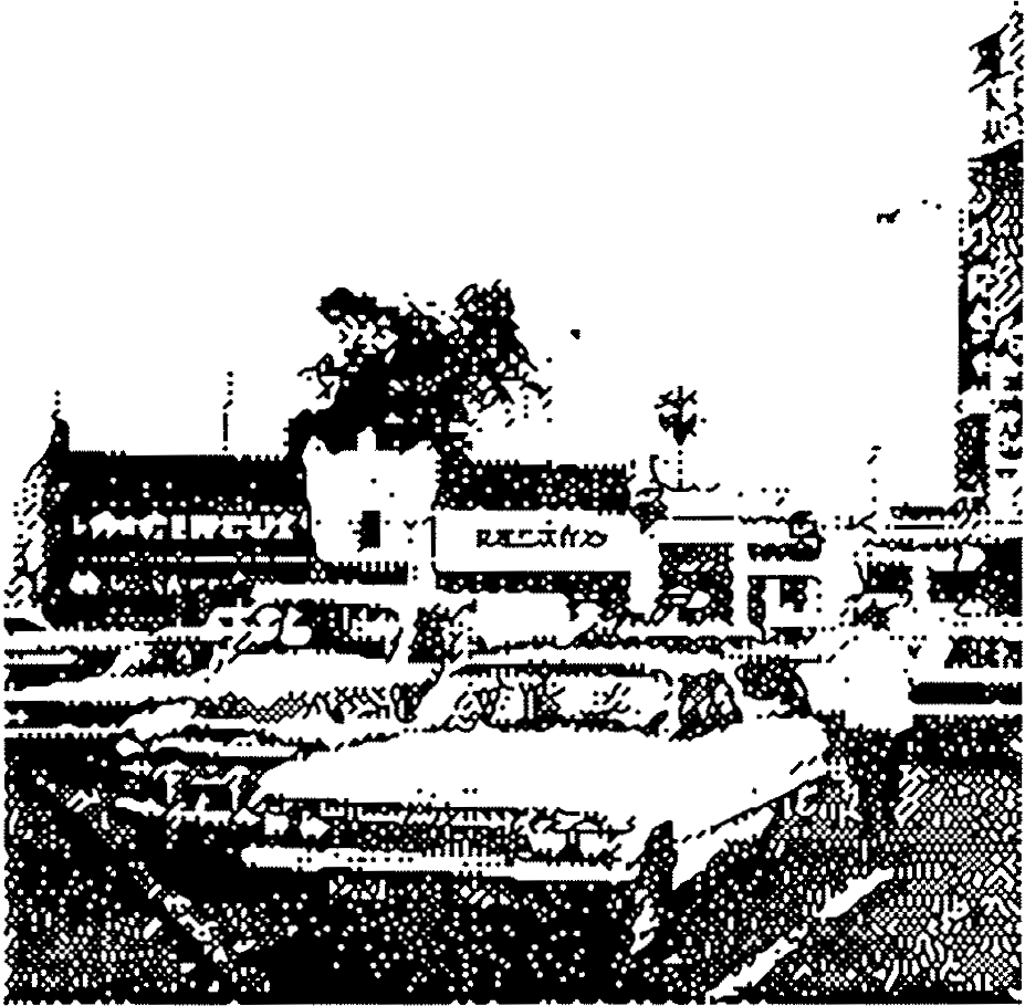 Photo of old cars
