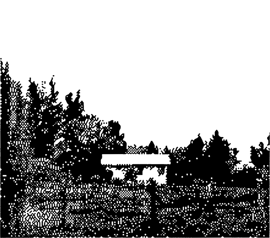 Little house
