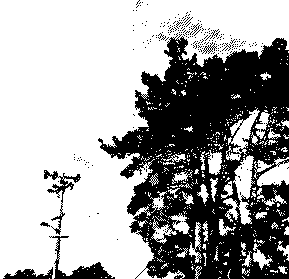 section 2 of cover image