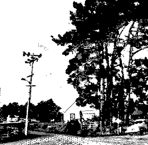 section 4 of cover image