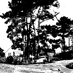 section 3 of cover image