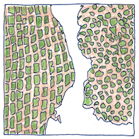 Illustration of Cell