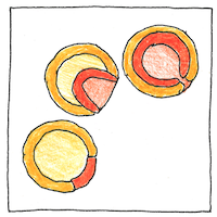 Illustration of Germ layers
