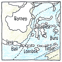Illustration of Wallace line