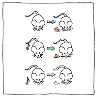 Illustration of Conditioned reflexes