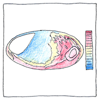 Illustration of Cosmic rays