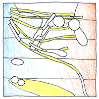 Illustration of The universe