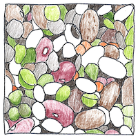 Illustration of Crop diversity