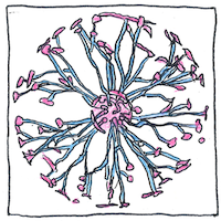 Illustration of Plasma