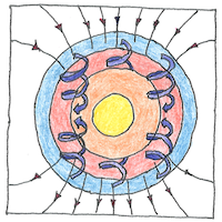 Illustration of Dynamo theory