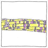 Illustration of Jumping genes
