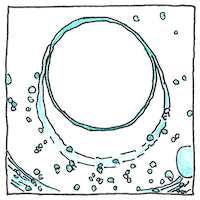Illustration of Quasar