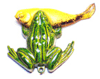 Frog clicker with fish