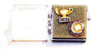 Pins case